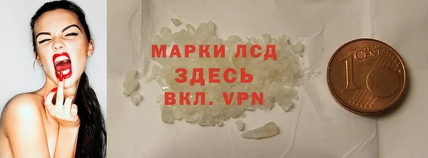 хмурый Абаза